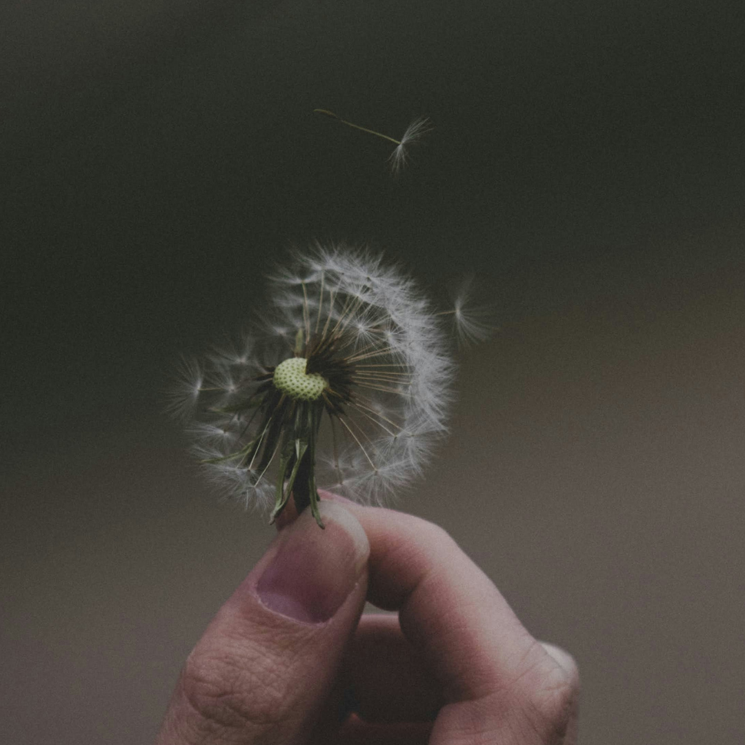 Individual Counseling in Arkansas and Oklahoma