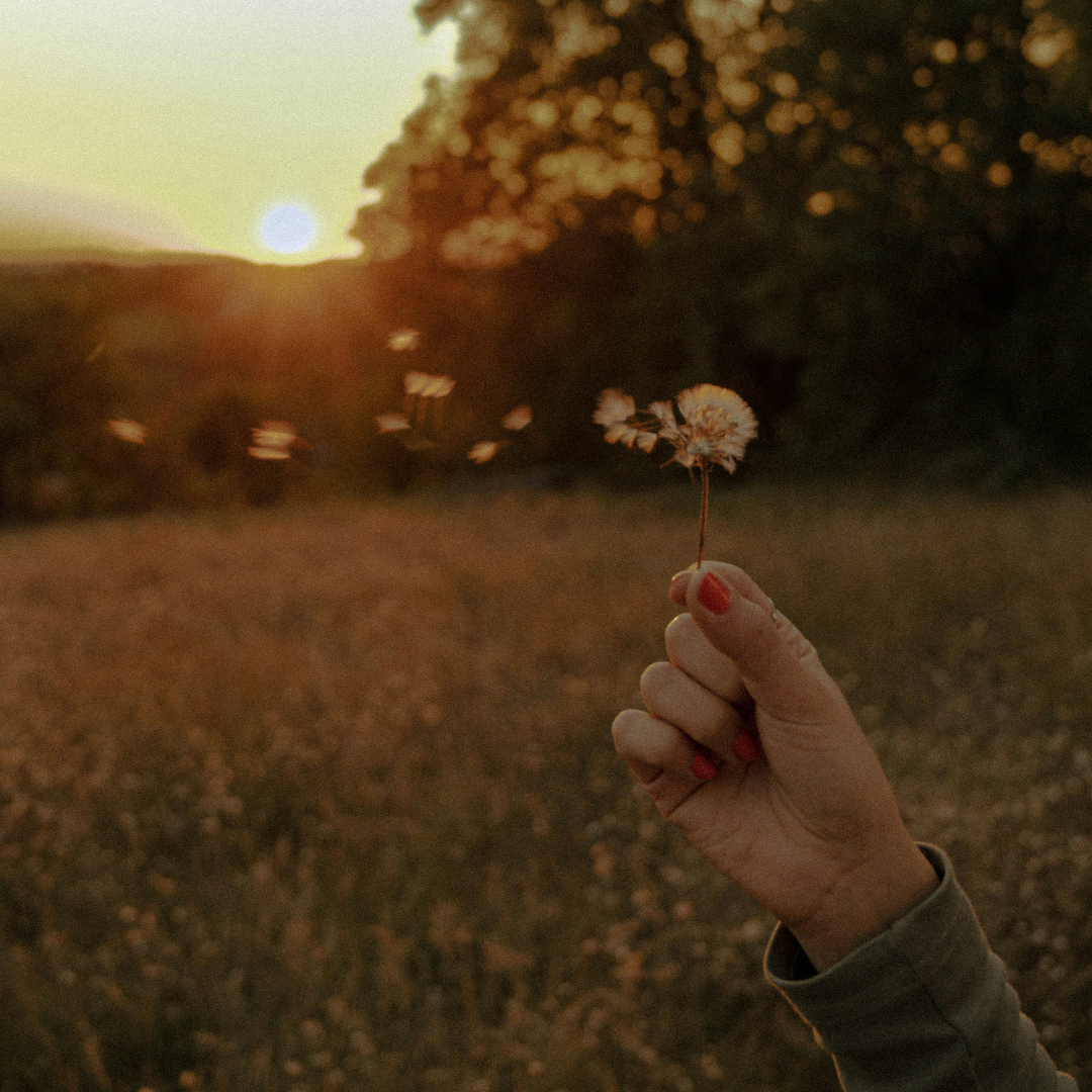 Individual Counseling in Arkansas and Oklahoma